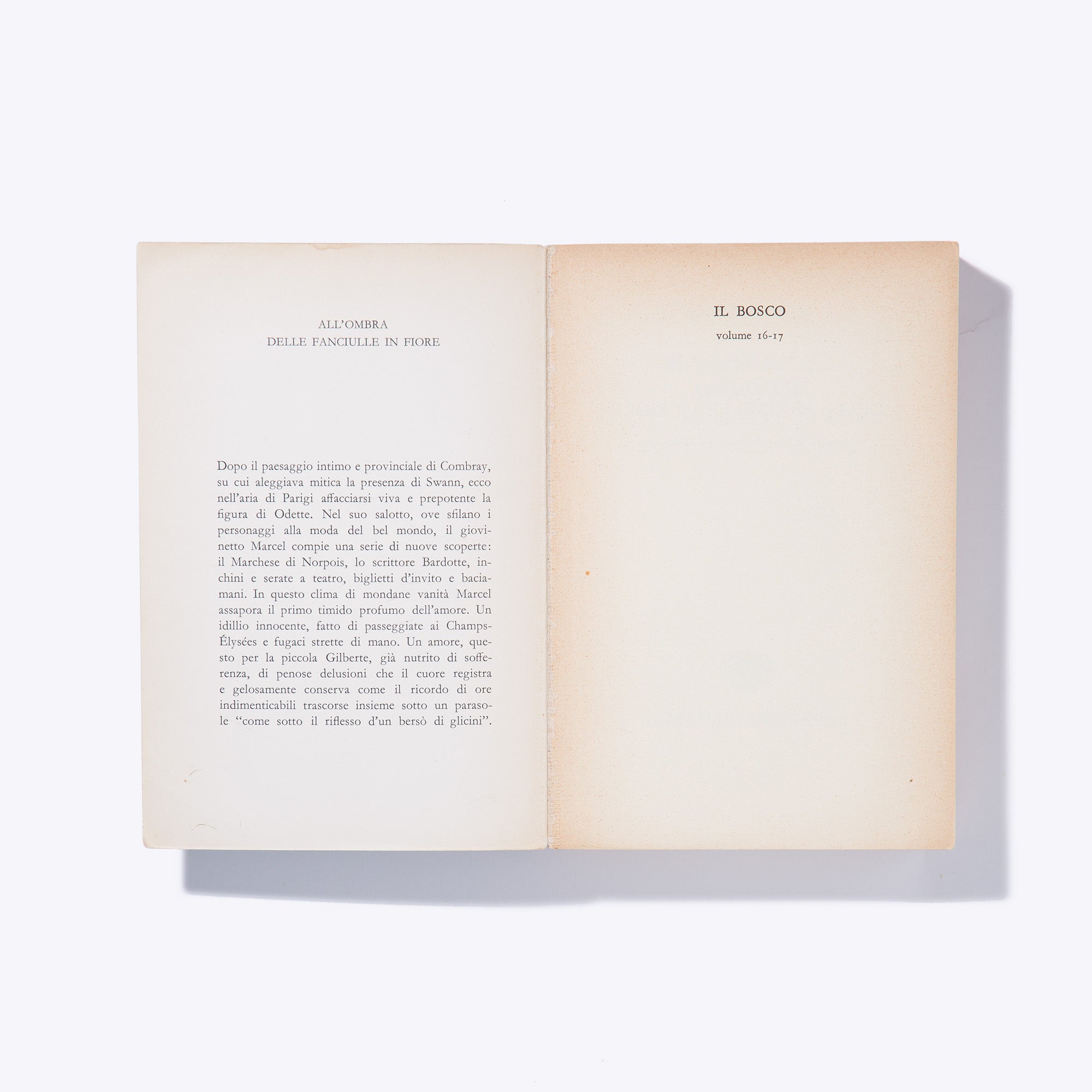ALL'OMBRA DELLE FANCIULLE IN FIORE | Marcel Proust