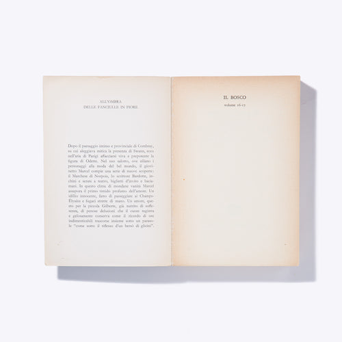 ALL'OMBRA DELLE FANCIULLE IN FIORE | Marcel Proust