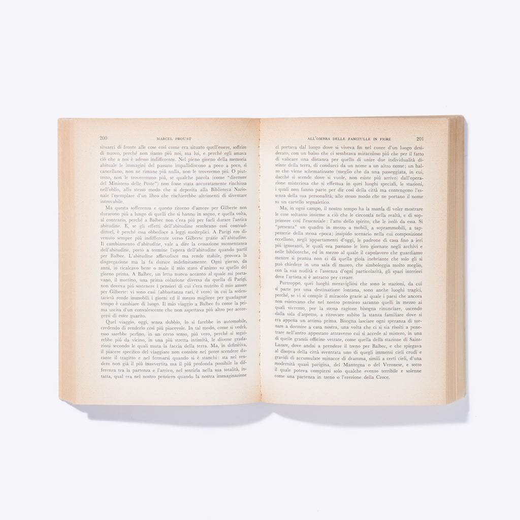 ALL'OMBRA DELLE FANCIULLE IN FIORE | Marcel Proust