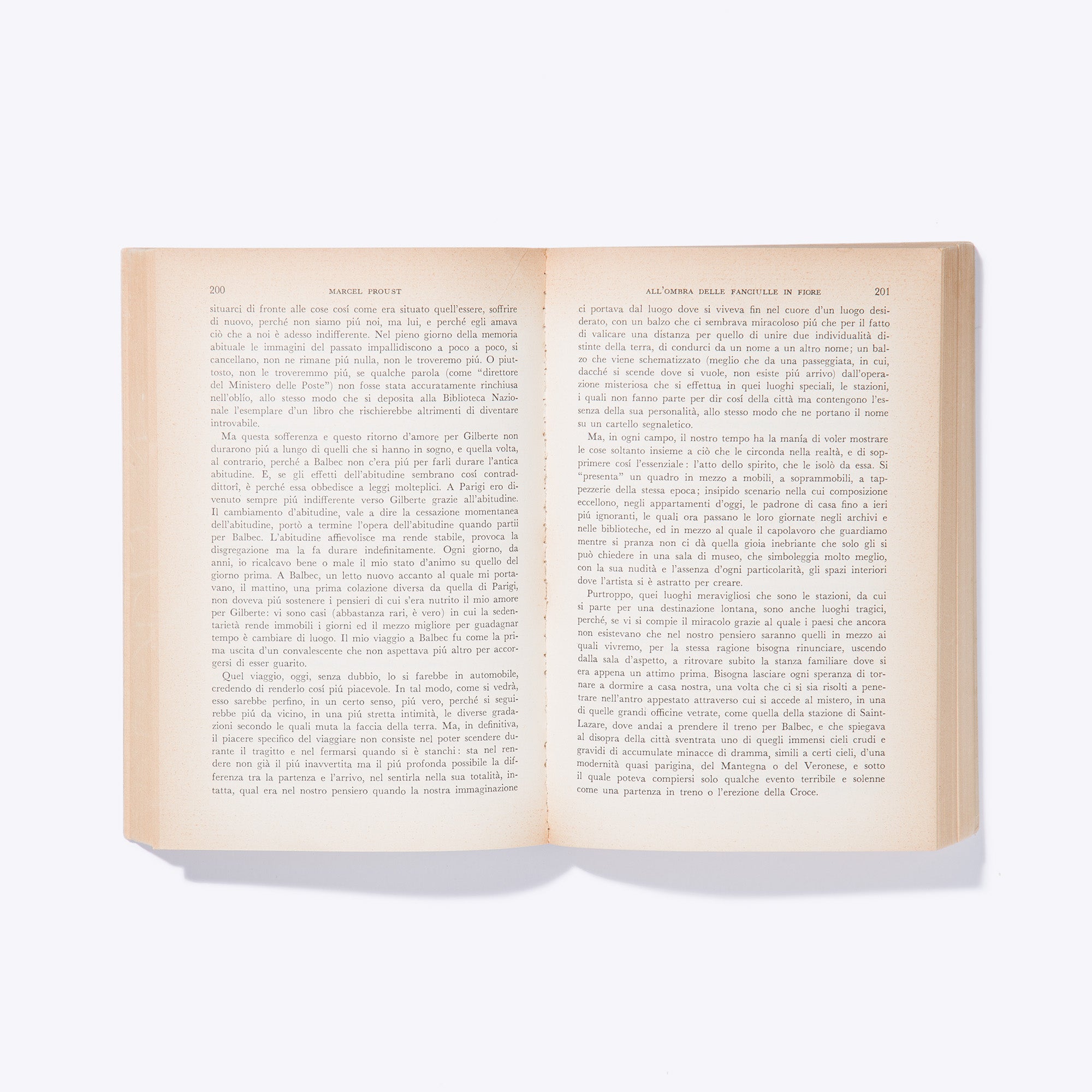 ALL'OMBRA DELLE FANCIULLE IN FIORE | Marcel Proust