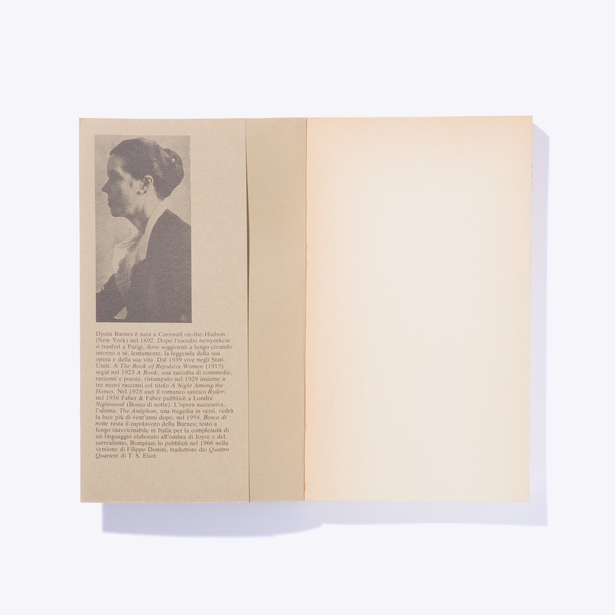 BOSCO DI NOTTE | Djuna Barnes