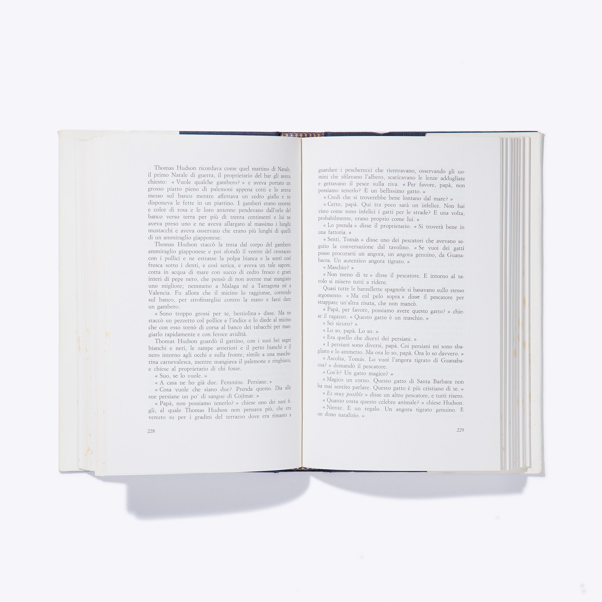 ISOLE NELLA CORRENTE | Ernest Hemingway