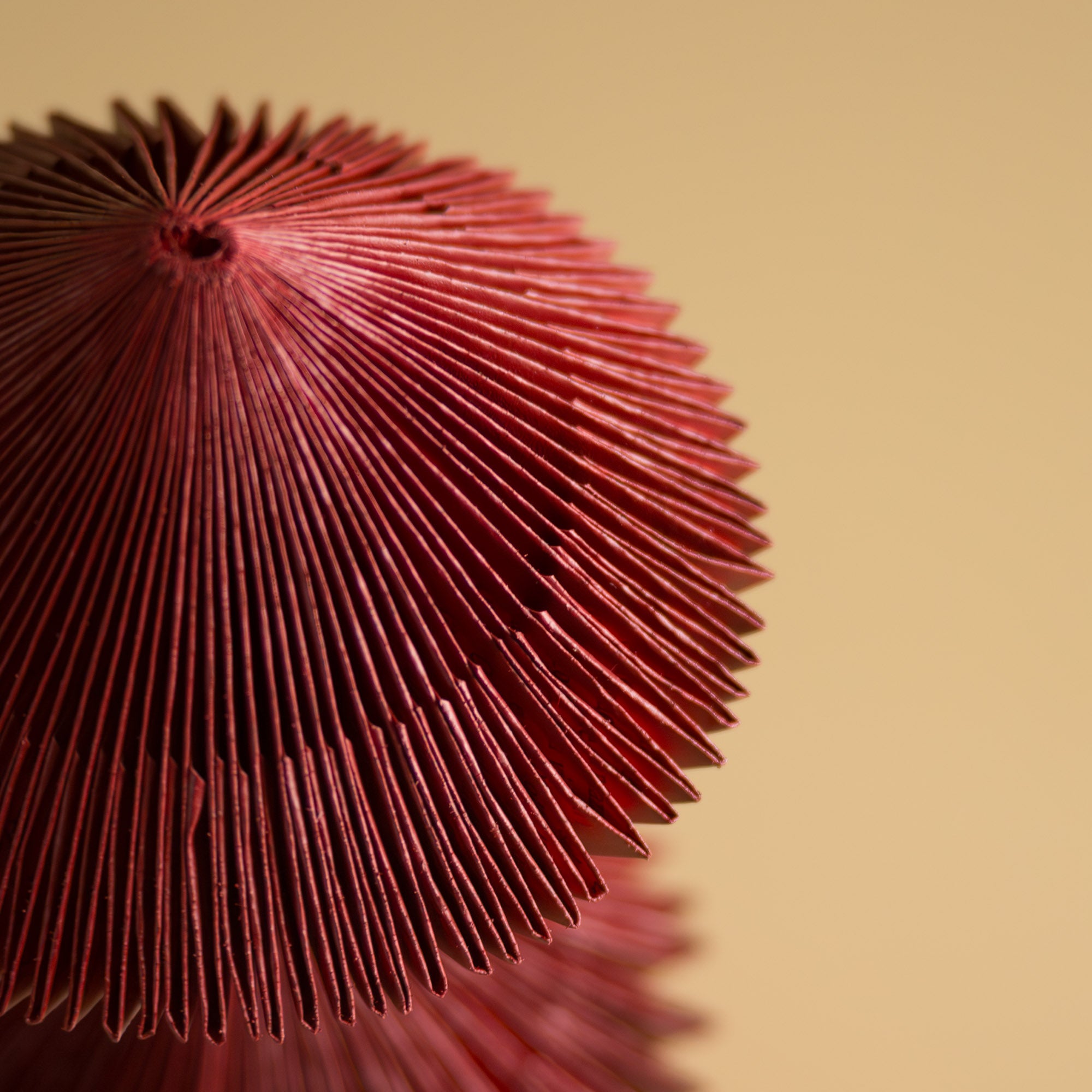 BOOK SCULPTURE ROSSO | Uroš Mihić