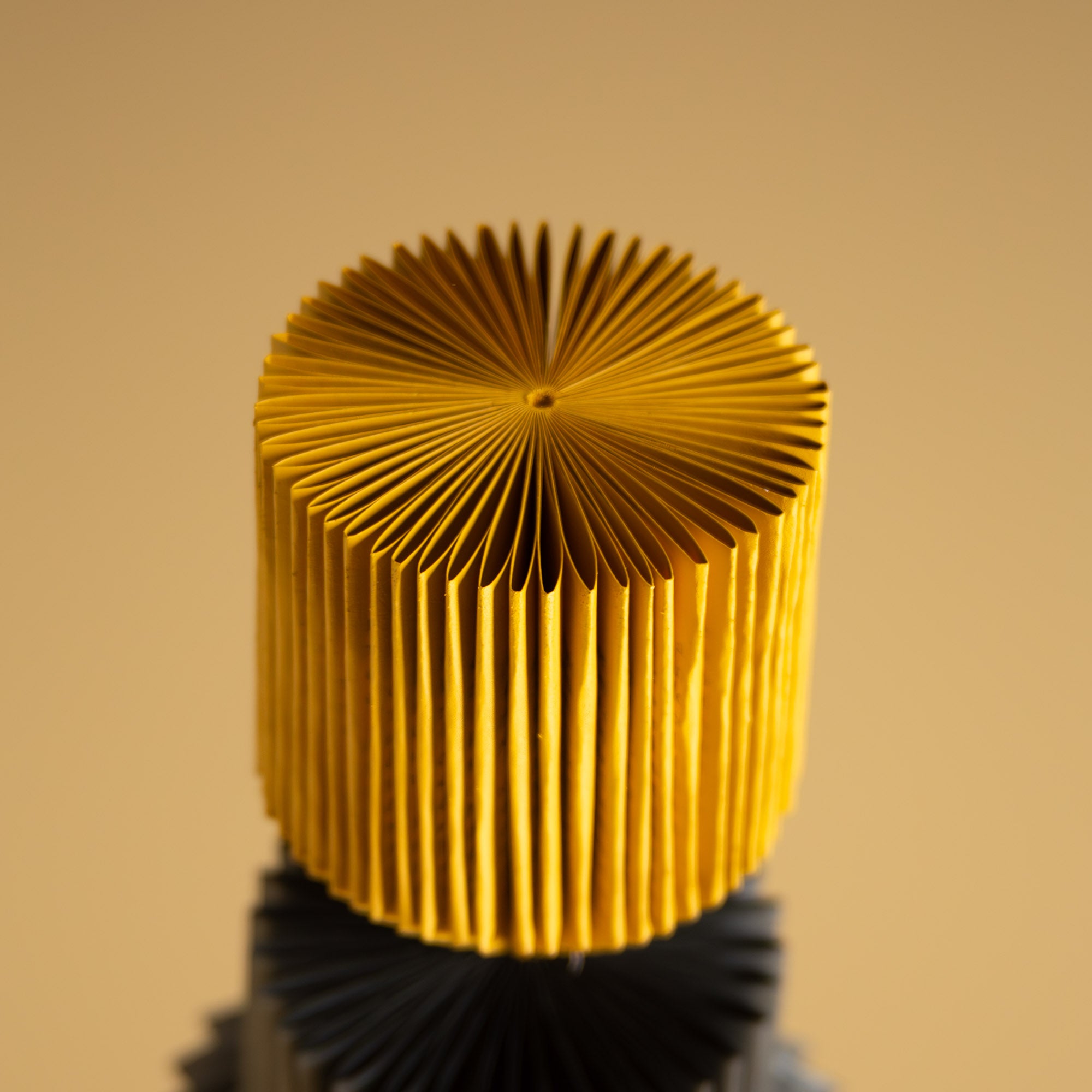 BOOK SCULPTURE NERO + GIALLO | Uroš Mihić